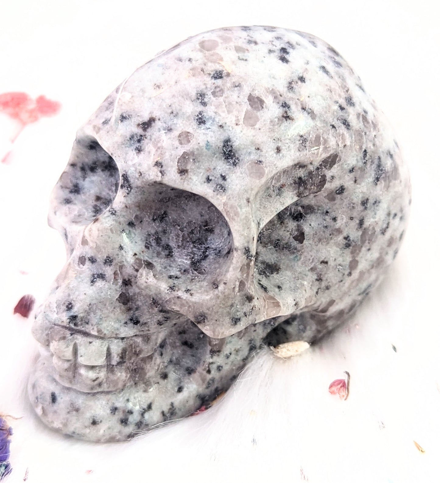 3" inches Kiwi Jasper Skull